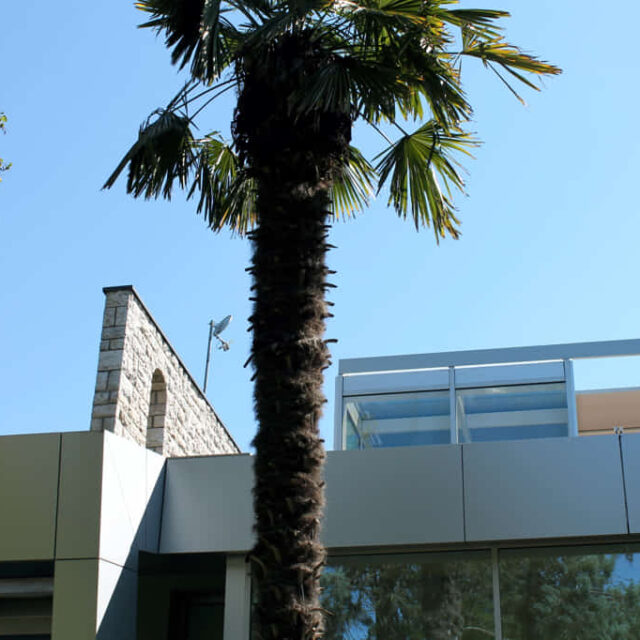 Treviso private residence