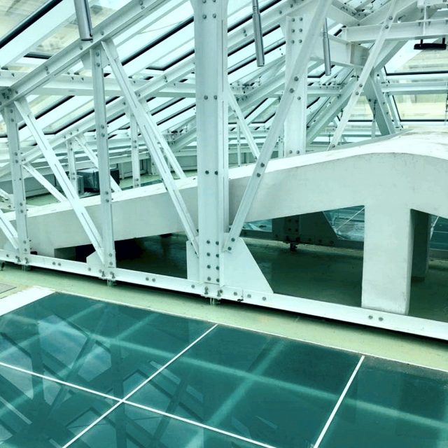 Skylight and velarium